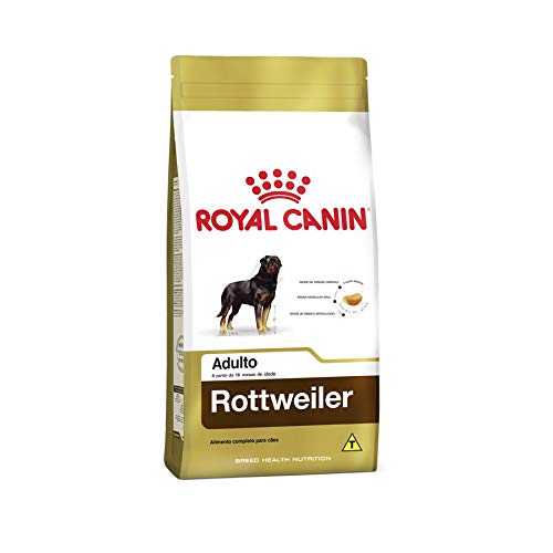 Melhores Ra Es Para Rottweiler Filhotes Adultos E Idosos Adoro Pets