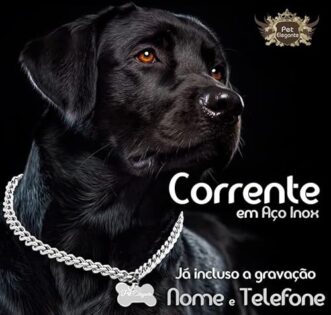 Corrente Para Cachorro Personalizada em Aço Com Identificação Nome e Telefone (Vermelho